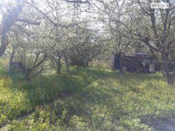 ������ 2 ����������� ������� � ������� �� 4 �����, 40 ��. �, 3 ������, �� ���. ���� ���� 7