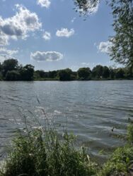 Продаж будинку, місто Вінниця. фото 12 Продаж будинку, місто Вінниця. фото 12