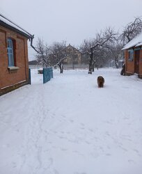 ������ ������� ������� �� ���. ����� ���� 6