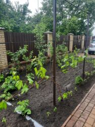 Продаж двоповерхового дюплекса фото 8 Продаж двоповерхового дюплекса фото 8