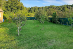 Продаж 2 поверхового будинку з ділянкою на 43 сотки, 112 кв. м, 6 кімнат, на вул. Пушкіна фото 6 Продаж 2 поверхового будинку з ділянкою на 43 сотки, 112 кв. м, 6 кімнат, на вул. Пушкіна фото 6