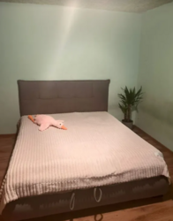 ������ 2 ����������� ������� � �������� � ������� �� 4 �����, 220 ��. �, 6 ����� ���� 2