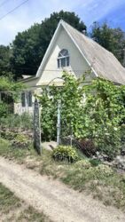 Продаж дачі в Петрику фото 4 Продаж дачі в Петрику фото 4