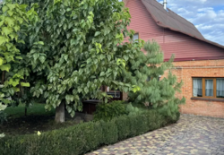 Продаж 1 поверхового будинку бесідка і ділянкою на 10 соток, 100 кв. м, вул. Івана Франка фото 1 Продаж 1 поверхового будинку бесідка і ділянкою на 10 соток, 100 кв. м, вул. Івана Франка фото 1