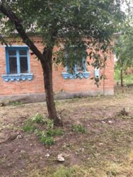 ��������� ������� ³�������, ³�����, ³�������, ���������, ��������� ���� 5