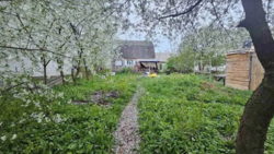 ������ 2 ����������� ������� � ������� �� 4 �����, 39 ��. �, 2 ������, �� 4-� ��. ǳ������ ���� 1