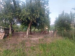 ������ ����, ��������� ����� ���� 4