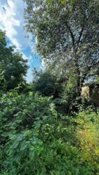 Продаж будинку на Старому місті. фото 3 Продаж будинку на Старому місті. фото 3