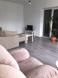 ��������� ������� ���������� ����. ������� ����, ³�����, ³�������, ���������, ���������� ���� 3