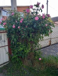 Продаж частини будинку, 3 кімнати фото 5 Продаж частини будинку, 3 кімнати фото 5