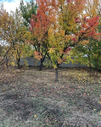 ������ 2 ����������� ������� � ������� �� 10 �����, �. �������� ���� 7