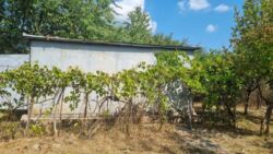 Продаж дачного будинку зі світлом, Бучми фото 4 Продаж дачного будинку зі світлом, Бучми фото 4