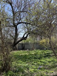  1        31 , 95 . , .   2