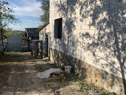 Продаж 2 поверхового будинку з ділянкою на 4 сотки, на вул. Сонячна фото 10 Продаж 2 поверхового будинку з ділянкою на 4 сотки, на вул. Сонячна фото 10