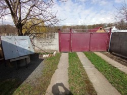 Будинок, Петрик фото 30 Будинок, Петрик фото 30