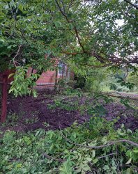 Продаж 1 поверхового будинку веранда і ділянкою на 12 соток, 50 кв. м, 3 кімнати фото 14 Продаж 1 поверхового будинку веранда і ділянкою на 12 соток, 50 кв. м, 3 кімнати фото 14