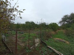 Будинок, Петрик фото 16 Будинок, Петрик фото 16