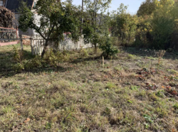 ��������� ������� ³�����, ³�������, ���������, ³������ ������ ���� 5