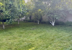 Продаж 1 поверхового будинку бесідка і ділянкою на 10 соток, 100 кв. м, вул. Івана Франка фото 9 Продаж 1 поверхового будинку бесідка і ділянкою на 10 соток, 100 кв. м, вул. Івана Франка фото 9