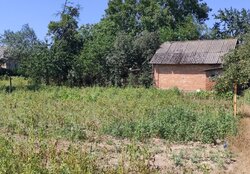 Продаж 1 поверхового будинку з ділянкою на 10 соток, 50.2 кв. м, 4 кімнати фото 4 Продаж 1 поверхового будинку з ділянкою на 10 соток, 50.2 кв. м, 4 кімнати фото 4