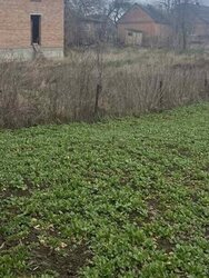 Продаж 2 поверхового будинку з ділянкою на 11 соток, 200 кв. м, 5 кімнат, на вул. Депутатська фото 3 Продаж 2 поверхового будинку з ділянкою на 11 соток, 200 кв. м, 5 кімнат, на вул. Депутатська фото 3