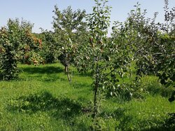  1      38 , 78 . , c.   2