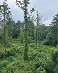 Продаж 2 поверхового таунхауса з ділянкою на 1.5 сотки, 117 кв. м, 4 кімнати, на вул. Подільська фото 13 Продаж 2 поверхового таунхауса з ділянкою на 1.5 сотки, 117 кв. м, 4 кімнати, на вул. Подільська фото 13