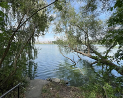 Продаж 3 поверхового будинку з гаражем і ділянкою на 13.5 сотки, 279 кв. м, 4 кімнати фото 2 Продаж 3 поверхового будинку з гаражем і ділянкою на 13.5 сотки, 279 кв. м, 4 кімнати фото 2