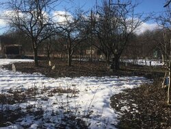 ������ ����, ����� �������, ����-����������� ���� 3