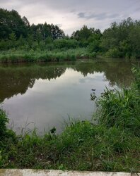 Продаж 1 поверхового будинку веранда і ділянкою на 12 соток, 50 кв. м, 3 кімнати фото 5 Продаж 1 поверхового будинку веранда і ділянкою на 12 соток, 50 кв. м, 3 кімнати фото 5