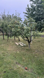 Продаж будинка в с.Гавришівка фото 17 Продаж будинка в с.Гавришівка фото 17