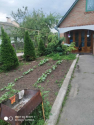 Продаж будинка, Тяжилів фото 3 Продаж будинка, Тяжилів фото 3