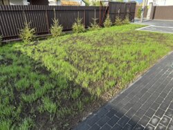 Продаж 2 поверхового будинку з ділянкою на 6 соток, 110 кв. м, вул. Фортівська фото 9 Продаж 2 поверхового будинку з ділянкою на 6 соток, 110 кв. м, вул. Фортівська фото 9