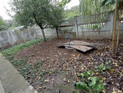 Будинок, Петрик фото 22 Будинок, Петрик фото 22