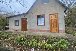 ������ ����, ����� �������, ����-����������� ���� 1