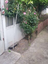 ������ ����, ��������� ����� ���� 6