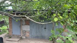 ������ ����, ³������ ������, �� ������� ���� 5