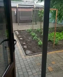 ������ 1 ����������� ������� � ������� � ������� �� 5.5 �����, 105 ��. �, 4 ������, �� ���. ������-������������� ���� 5