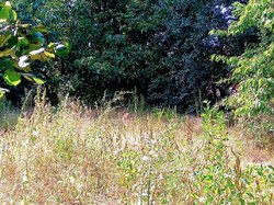 Продаж 2 поверхового будинку з гаражем і ділянкою на 6 соток, 106 кв. м. фото 9 Продаж 2 поверхового будинку з гаражем і ділянкою на 6 соток, 106 кв. м. фото 9