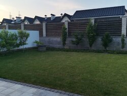 ��������� ������� ������, ³�����, ³�������, ���������, �������� ���� 4