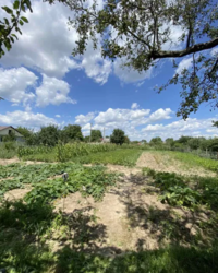 ��������� ������� ³�����, ³�������, ���������, ������� ���� 3