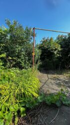 Продаж будинку на Старому місті. фото 11 Продаж будинку на Старому місті. фото 11