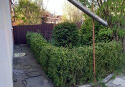 Продаж частини будинку, 3 кімнати фото 3 Продаж частини будинку, 3 кімнати фото 3