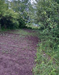 Продаж 1 поверхового будинку веранда і ділянкою на 12 соток, 50 кв. м, 3 кімнати фото 13 Продаж 1 поверхового будинку веранда і ділянкою на 12 соток, 50 кв. м, 3 кімнати фото 13