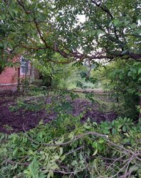 Продаж 1 поверхового будинку веранда і ділянкою на 12 соток, 50 кв. м, 3 кімнати фото 7 Продаж 1 поверхового будинку веранда і ділянкою на 12 соток, 50 кв. м, 3 кімнати фото 7