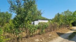 Продаж дачного будинку зі світлом, Бучми фото 1 Продаж дачного будинку зі світлом, Бучми фото 1