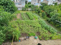 ������ 2 ����������� ������� � ������� �� 11.3 �����, 225 ��. �, 4 ������ ���� 5