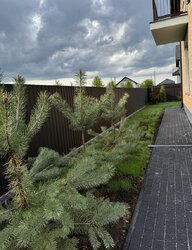 Продаж 2 поверхового будинку з ділянкою на 6 соток, 110 кв. м, вул. Фортівська фото 7 Продаж 2 поверхового будинку з ділянкою на 6 соток, 110 кв. м, вул. Фортівська фото 7