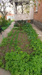 ������ ������� �� ������� ���, ³�����, 10 �����. ���� 11