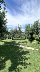 Продаж дачі в Петрику фото 2 Продаж дачі в Петрику фото 2